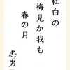 紅白の梅見か我も春の月