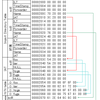 PEの.idataを図解（ILTなし）