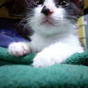 へん台湾のブログ