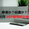 停滞か？好調か？6月 ADP雇用統計値