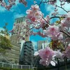 五千円の #Goproもどき アクションカメラDBPOWER EX5000で写真を撮ってみた