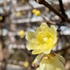 片づけ神の降臨