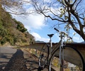 もっとも自転車に乗った一年