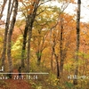 籾糠山 － 秋色のブナを愛でながら、のんびり紅葉ハイク