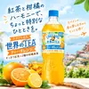 クラフトボス 世界のTEA ティー・オレンジとは？  スペインの食文化から着想を得たフルーツティー