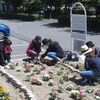 ６月５日　花のある学校に～ＰＴＡ花壇づくり～