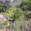 山行記　右田ヶ岳　片山・勝坂本ルート→天徳寺ルート