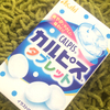 子供の頃からこいつが夏の友達