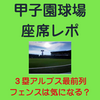 阪神甲子園球場3塁アルプス最前列のフェンスと見え方