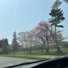 長女と両親と、『桜並木』を愉しむ！