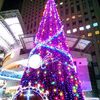広島　クレドのクリスマスツリー
