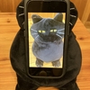 大学１年生チカラ子からの母の日からの贈り物はシュールな黒い猫
