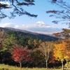 ＃２４　世界遺産の村へ、花材を採りに　その②