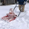 ちゃまめの日常〜人生初めての雪遊び❄️〜