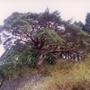 七時雨山