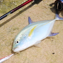 Train-Fishing