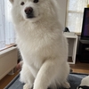 疲れちゃった⁉️