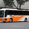 東京空港交通 / 品川200か 1181 （382-41142R5）