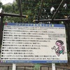 （紹介：施設）新宿中央公園ジャブジャブ池を紹介するよ
