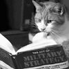 本を読む猫？ペロっとなめたあとページをめくる！【猫画像まとめ】