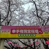 権現堂桜堤