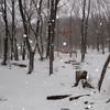 雪が降ったら日和田山