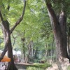 【神社仏閣】下鴨神社