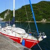 勝浦にしばらく滞在か