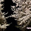 hanami