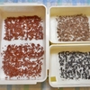 播種とか