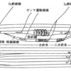 シンプル解説 筋紡錘の臨床への応用 