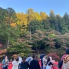 香嵐渓に紅葉を見に行ったら…🍁