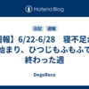【週報】6/22-6/28　寝不足から始まり、ひつじもふもふで終わった週