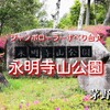 【 茅野市 】永明寺山公園｜絶景のジャンボローラーすべり台で幼児に混ざる♪※動画あり