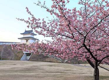 世界遺産や絶景の日の出、花の楽園… 栃木県の魅力をプレゼン！ 「Google Pixel プロダクトスペシャリスト」と巡る観光スポット