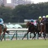 紫苑ステークス（GIII) ２着ヴィブロス「あの不利は尋常ではない」と福永 「競馬レース結果ハイライト」≪競馬場の達人,競馬予想≫