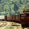 有名撮影地の津幡～倶利伽羅を通過するEF81牽引貨物列車