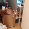 掃除下手が心がけている３つのこと