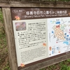 伊豆市自然公園　もみじ林