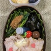 お弁当5日間のお休みです🐲