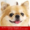 ３チワワのために尽力するチロクマとアチャモ