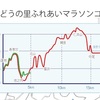 【ぶどうの里ふれあいマラソン】前日の目標