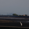 熊本港→金峰山　松尾港