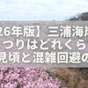 【2026年版】三浦海岸河津桜まつりはどれくらい混む？見頃と混雑回避のコツ