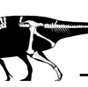 ニッポノサウルスの孤独