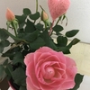 私の思う商いと感謝の概念について