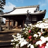 1月の「尼僧と学ぶやさしい仏教講座」のご案内
