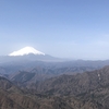 塔ノ岳　３連休の中日に大倉尾根ピストンで日帰りトレーニング登山　春を感じる　2020.3.21　