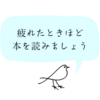 【ブログ初心者】ブログ記事の理想的な文字数についてあらためて考える。