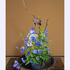 群馬県六合村の花・其二│小満の花信